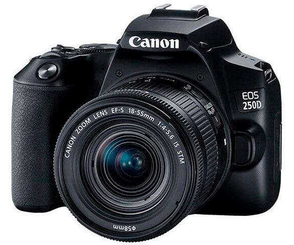 Canon EOS 250D + Objectiu Zoom EF-S18-55mm f/4-5.6 IS STM / Cmera reflex digital