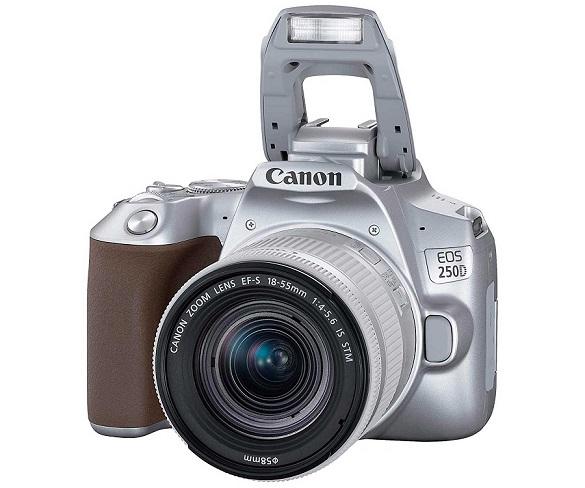 Canon EOS 250D Silver + Objetivo Zoom EF-S18-55mm f/3.5-5.6 III / Cámara reflex digital
